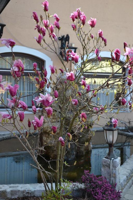 Guesthouse Bajc Vrhnika Εξωτερικό φωτογραφία