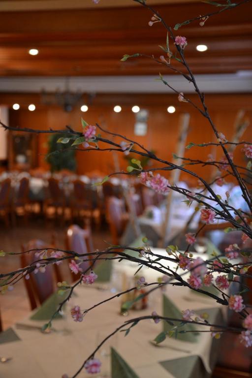 Guesthouse Bajc Vrhnika Εξωτερικό φωτογραφία